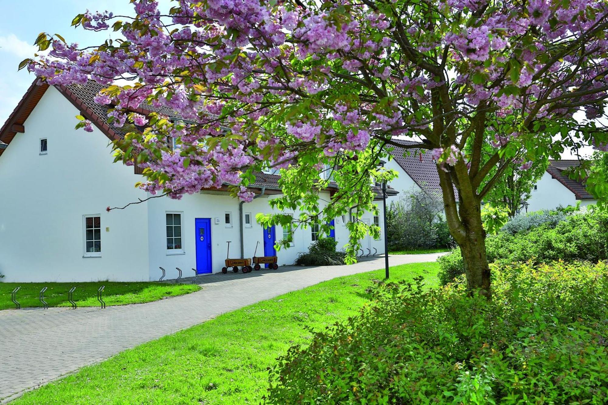 Feriendorf Рерік Екстер'єр фото